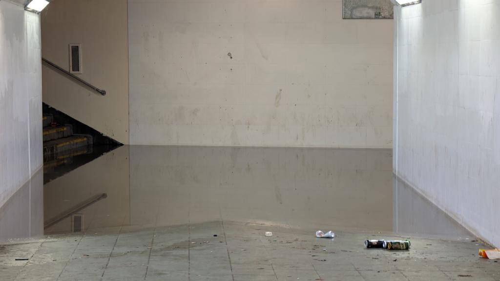 𐤃‎𐤀𐤍𐤉𐤄𐤋‎ tweet media