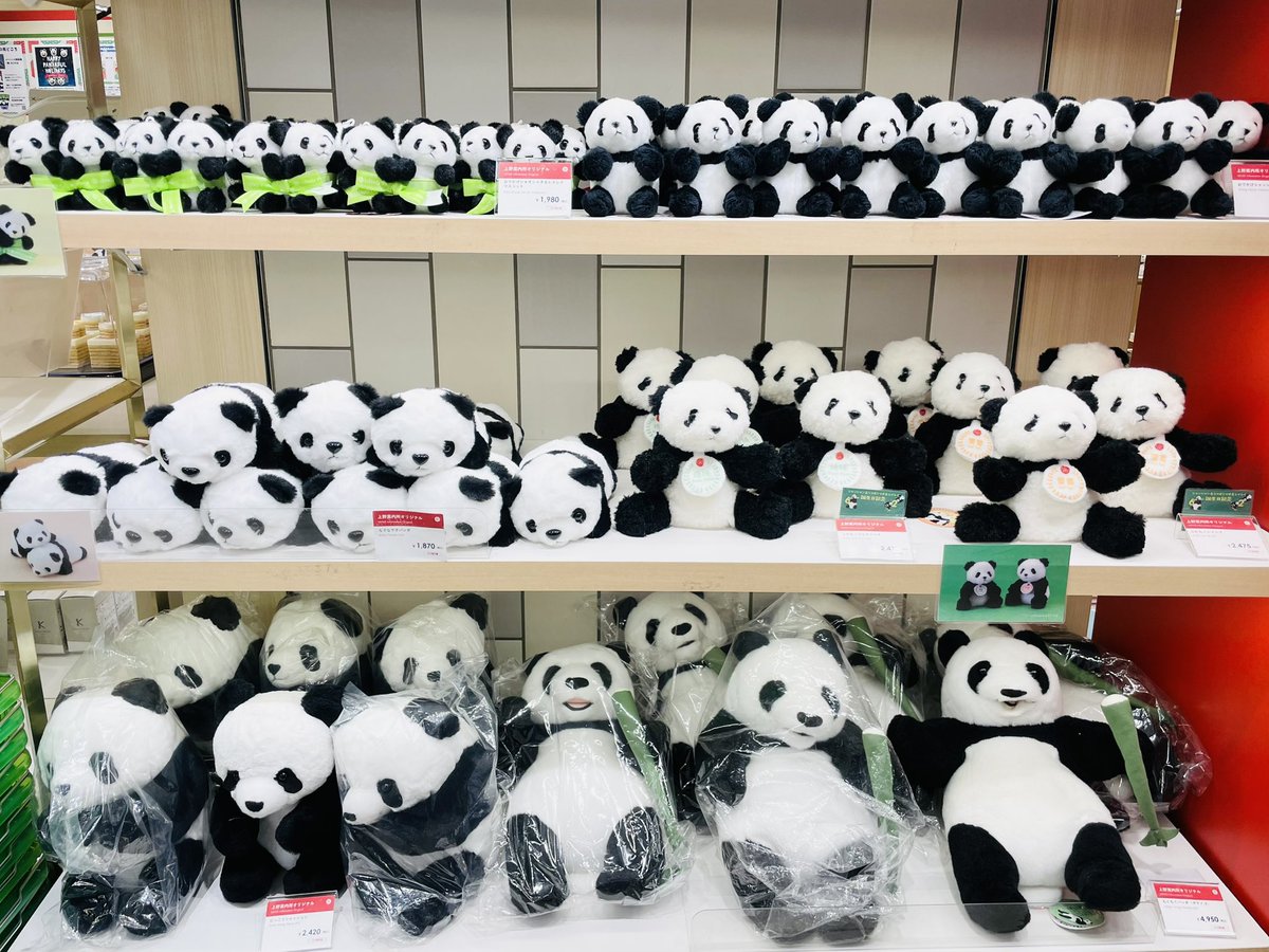 熊猫堂　produce pandas セット 熊猫堂 produce pandas セット