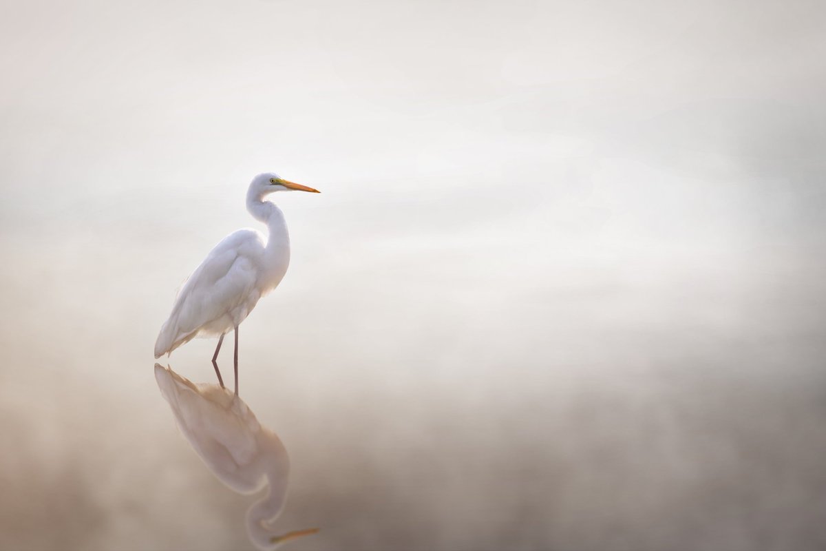 amitdabasphotos's tweet photo. 🎯 #FramingFriday Challenge:
Shoot ONE subject off-center today. Post your result + tag me! Best entries reposted.
Who's first? 📸
#FridayChallenge
#photography
#OffCenter https://t.co/Ixu7XvqxfD