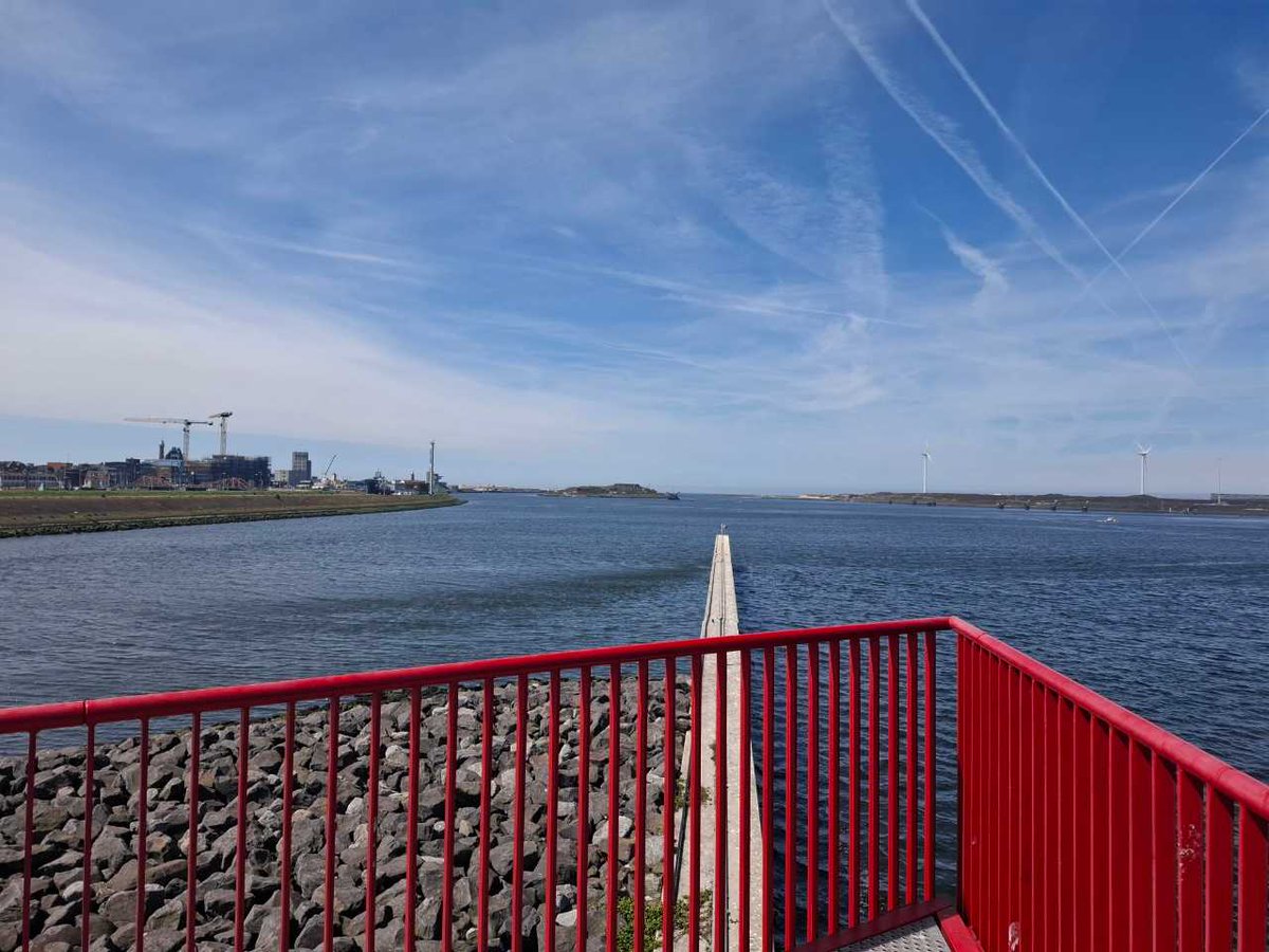 Goeiemorgen 🥐☕️
#hetnoordzeekanaal