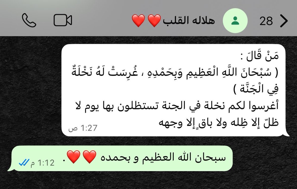 الشمري ☪︎ tweet media