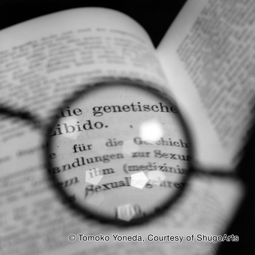 NMWA日本委員会 tweet media