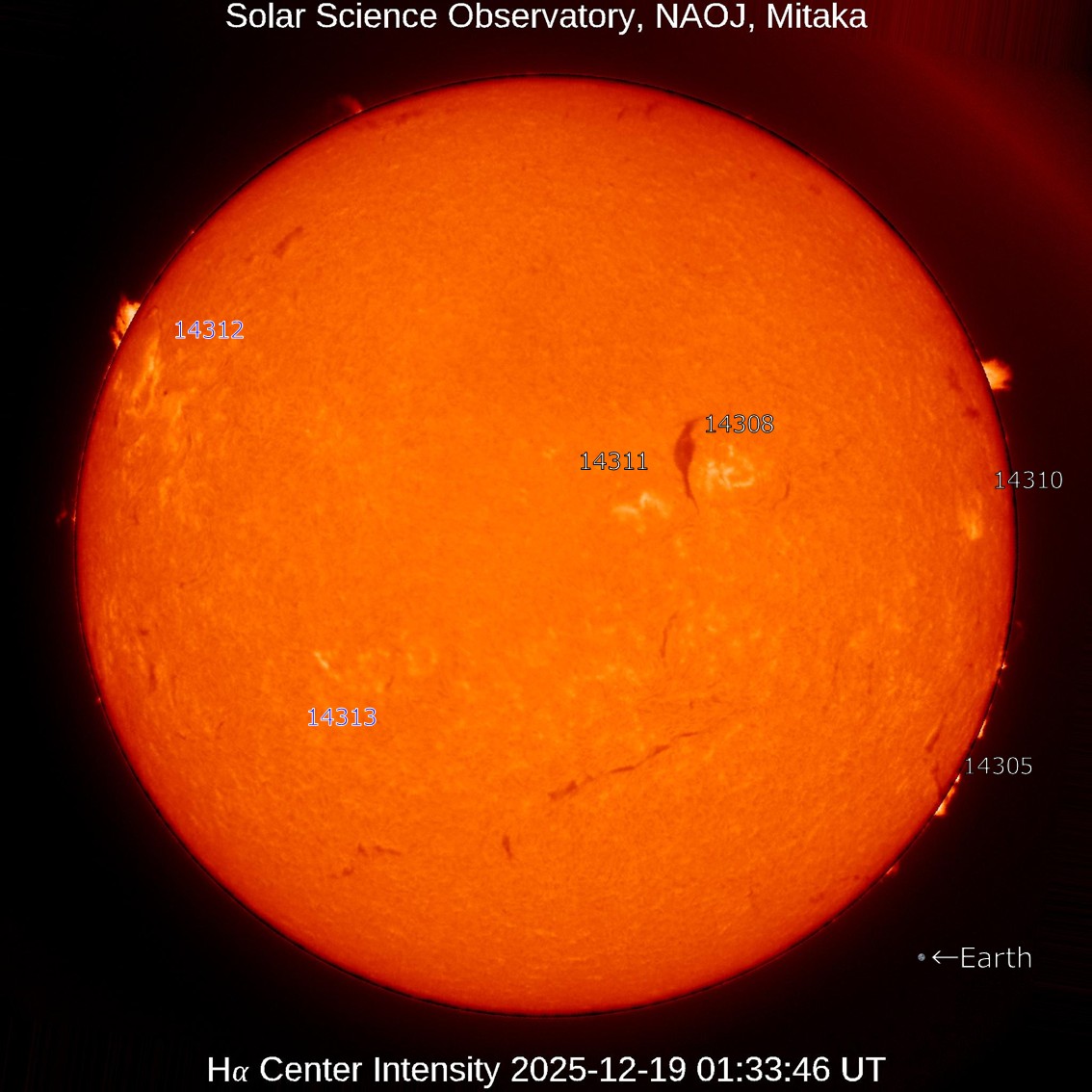 本日の太陽】2024-12-19のHα線全面像 比較的静穏な状態です。フレアは