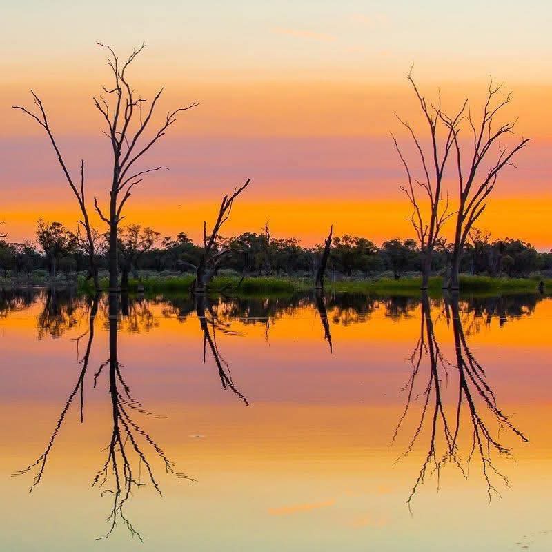 Sunset in the Australian Outback at Paringa ( South Australia)
#traveling #outback #LuxuryLifestyle