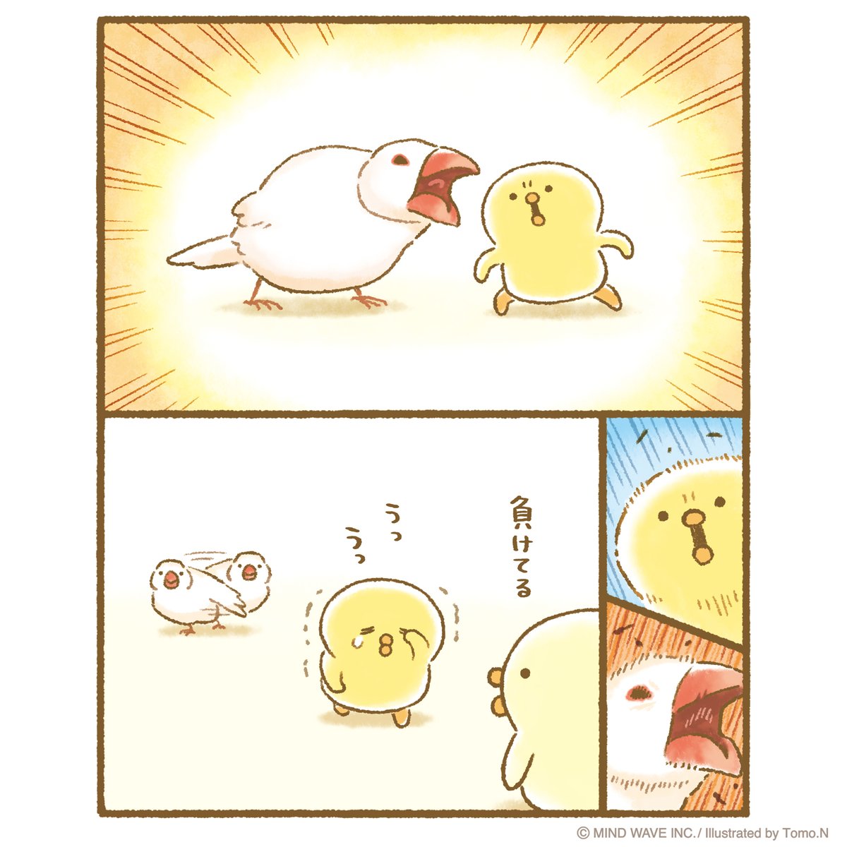 ぴよこ豆 VS 文鳥 #ぴよこ豆 #マインドウェイブ #ひよこ