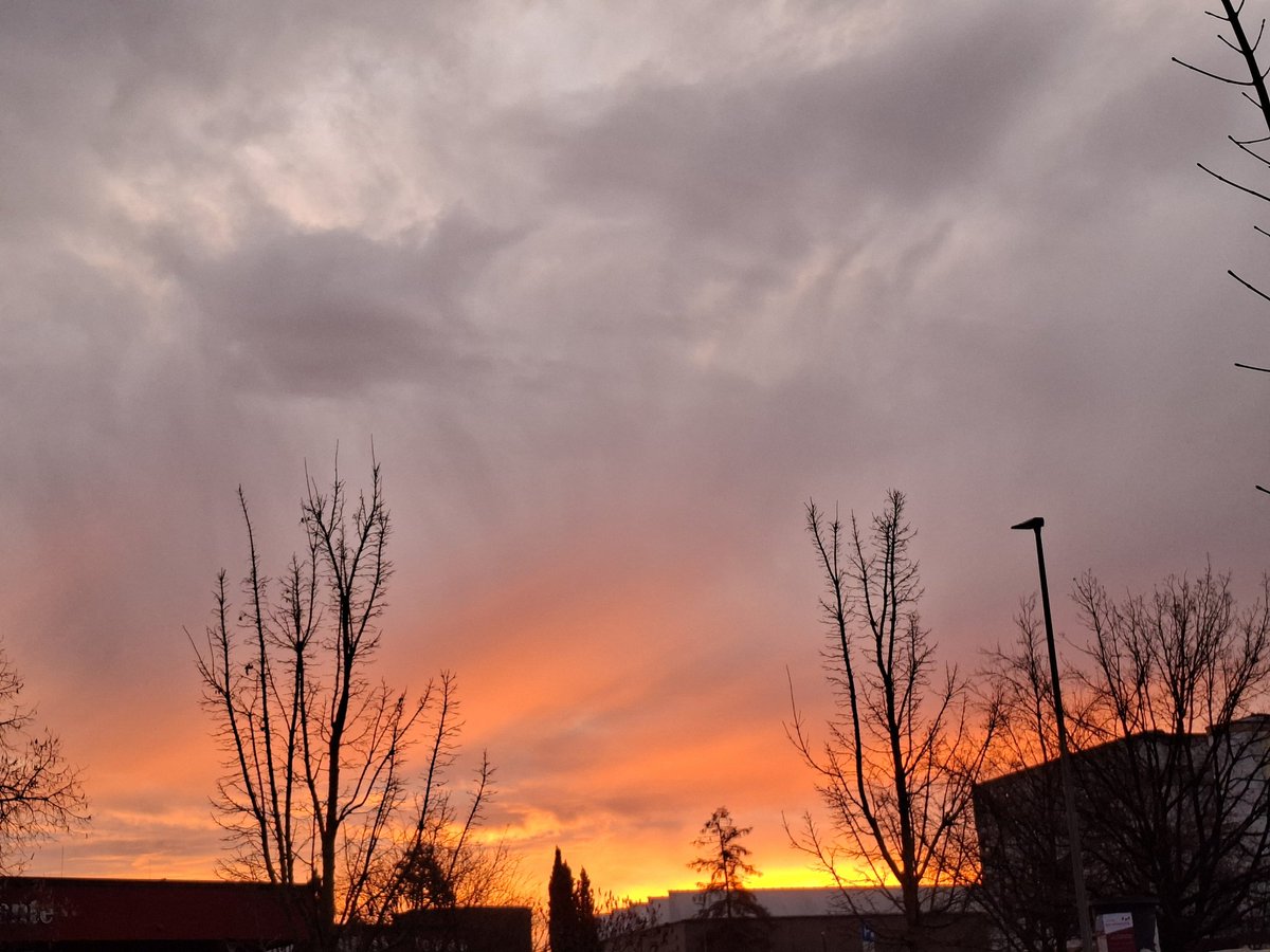 Morsche 🎅🎄⛄️
War schon Einkaufen, werde jetzt in Ruhe frühstücken und dann were ich verwöhnt. Meine freie Woche war meeegaaa und der Sonnenaugsng heute ist scheee🤗
➡️☕️☕️☕️☕️⬅️stelle den zwoten Kaffee gür Euch bereit 👋