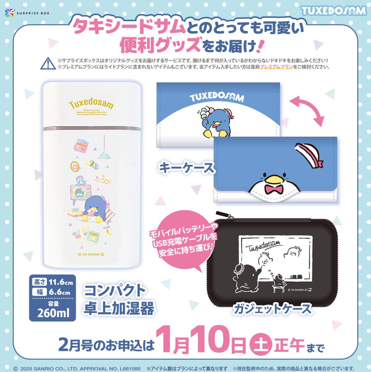 限定アイテムを定期便でお届けする サプライズボックス🎁 タキシード
