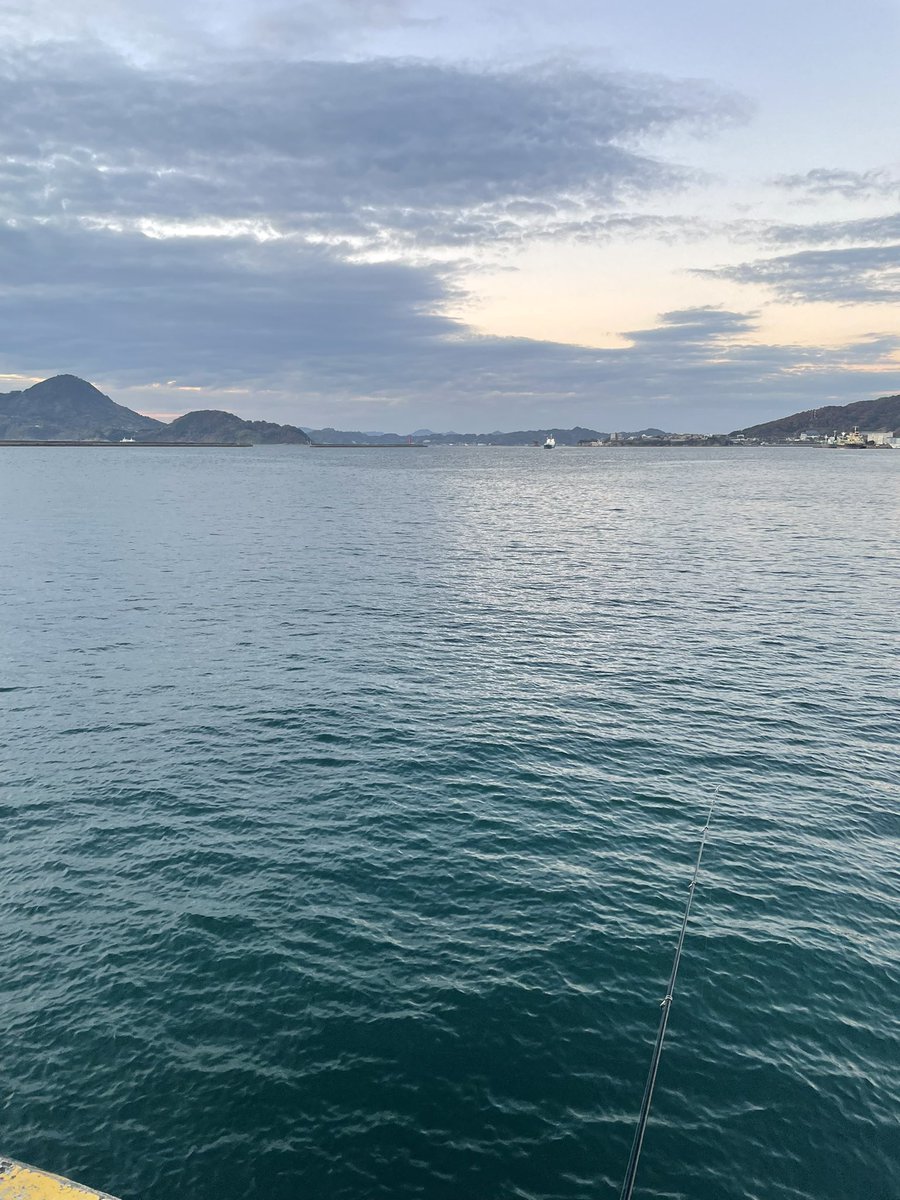 今日も釣りをするらしい！