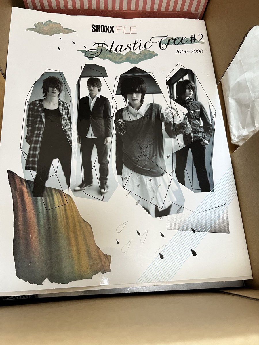 昔ハマっていたヴィジュアル系のPlastic Treeの本、めちゃくちゃデカく