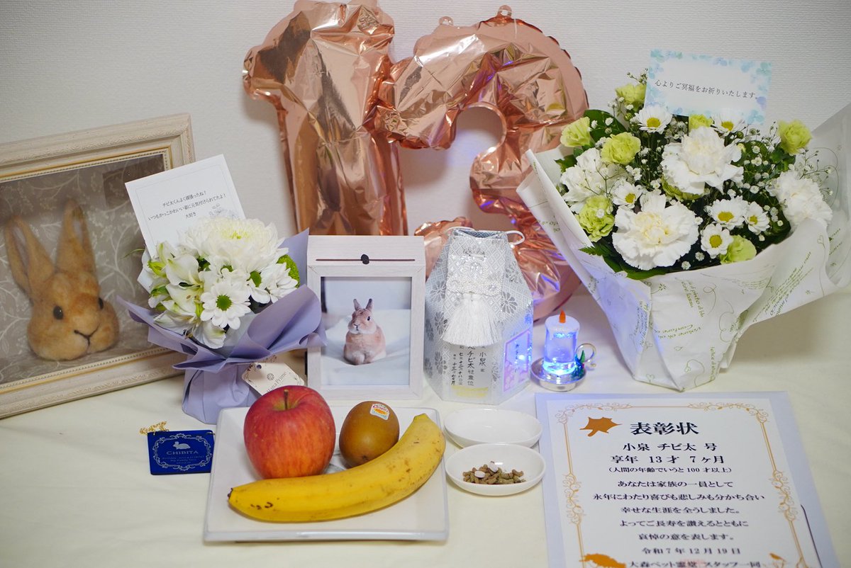 チビ太(CHIBITA🐰)のママ太 (@piccolocibi) / Posts / X