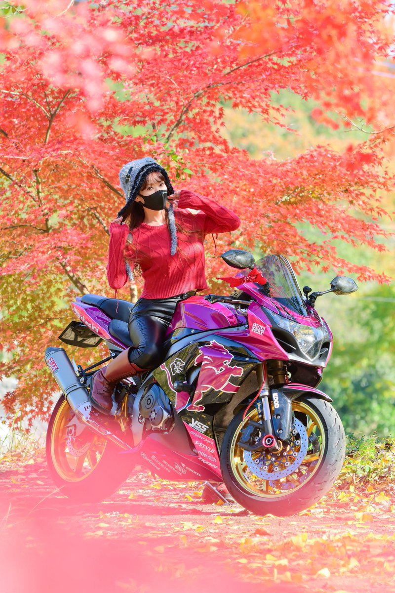 𝐒ちゃん🌸猫Photo Rider (@Kuroneko_S_chan) / Posts / X