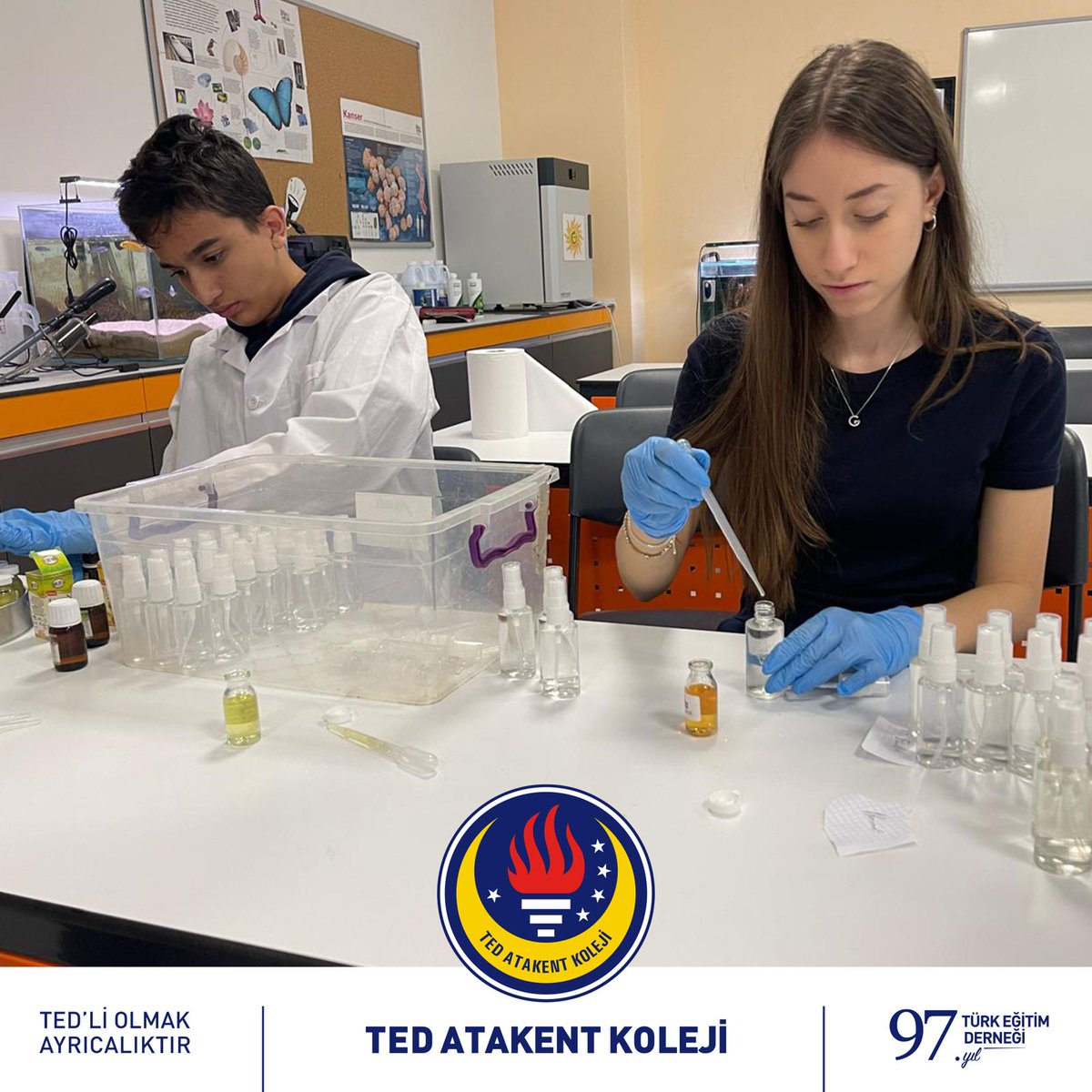 Lise Fen Bilimleri bölümünün yürüttüğü Bilim ve Deney Kulübü etkinlikleri kapsamında öğrencilerimiz, yeni yıla özel mum ve kolonya ürettiler. 🎄✨

20 Aralık Cumartesi günü 11.00–13.00 saatleri arasında gerçekleşecek Yılbaşı Karnavalı stantlarında sizlerle birlikte olacaklar.