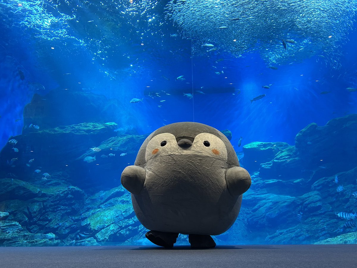 コウペンちゃんグッズ公式 (@kouhou7) / Posts / X