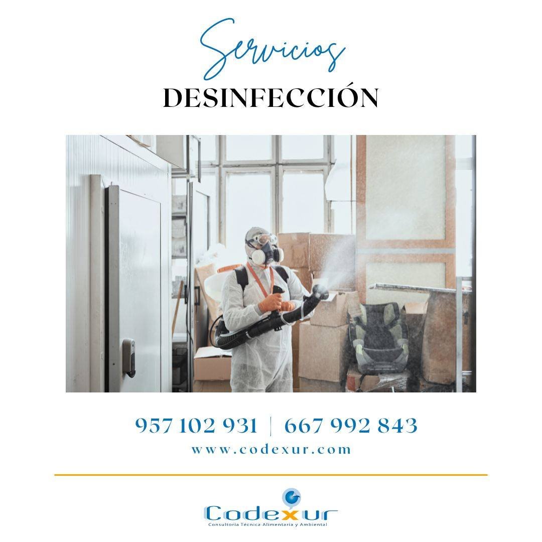 codexur's tweet image. 🦠 La desinfección profesional es clave para garantizar espacios seguros. En Codexur realizamos desinfecciones certificadas en:
🏢 Negocios y oficinas.
🏠 Viviendas y comunidades.
🍽️ Espacios de uso alimentario.

 ¡Llámanos! 📲 957 102 931 | 667 992 843.