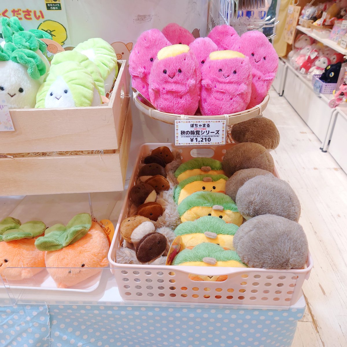 ぽちゃまる #秋の味覚シリーズ 【かじりいも】池袋店完売しました