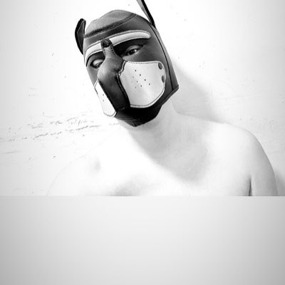 #NewProfilePic (新個人資料照片)

頭套到了
#不是正版又如何
#自己開心就好
#主犬雙修