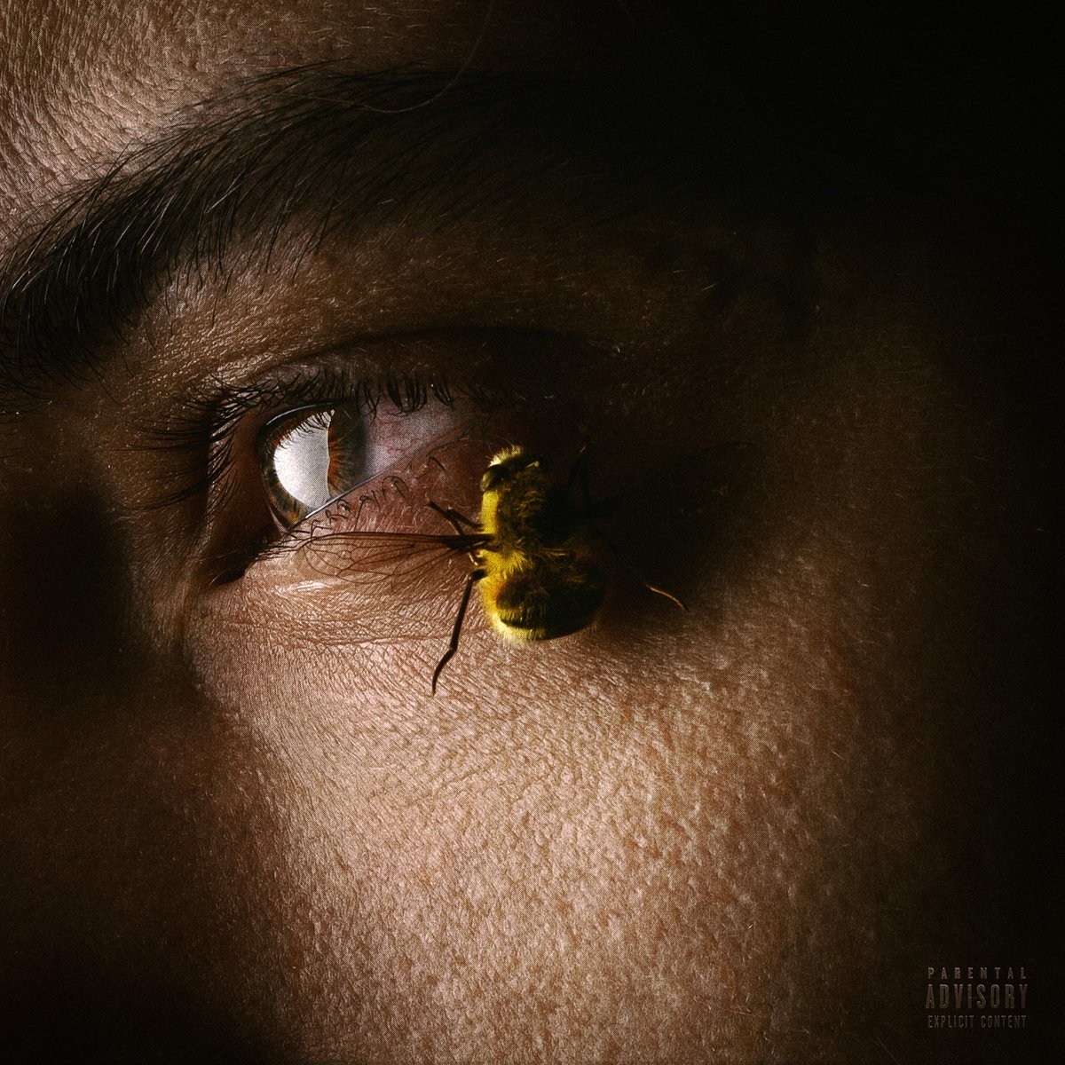 JUKAI TOME II DISPONIBLE 🐝

lnk.to/JUKAI-TOME-2