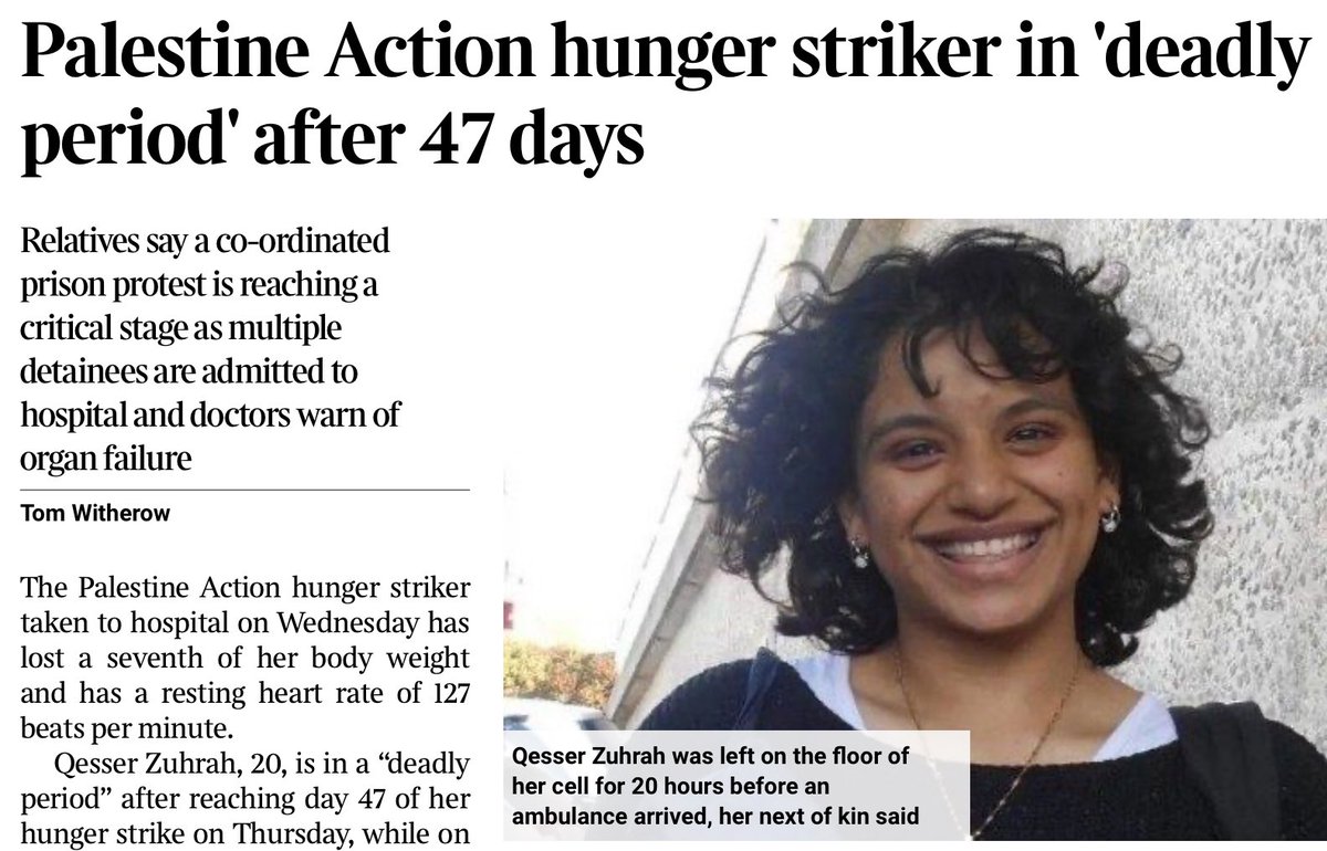 Paul Lewis tweet media