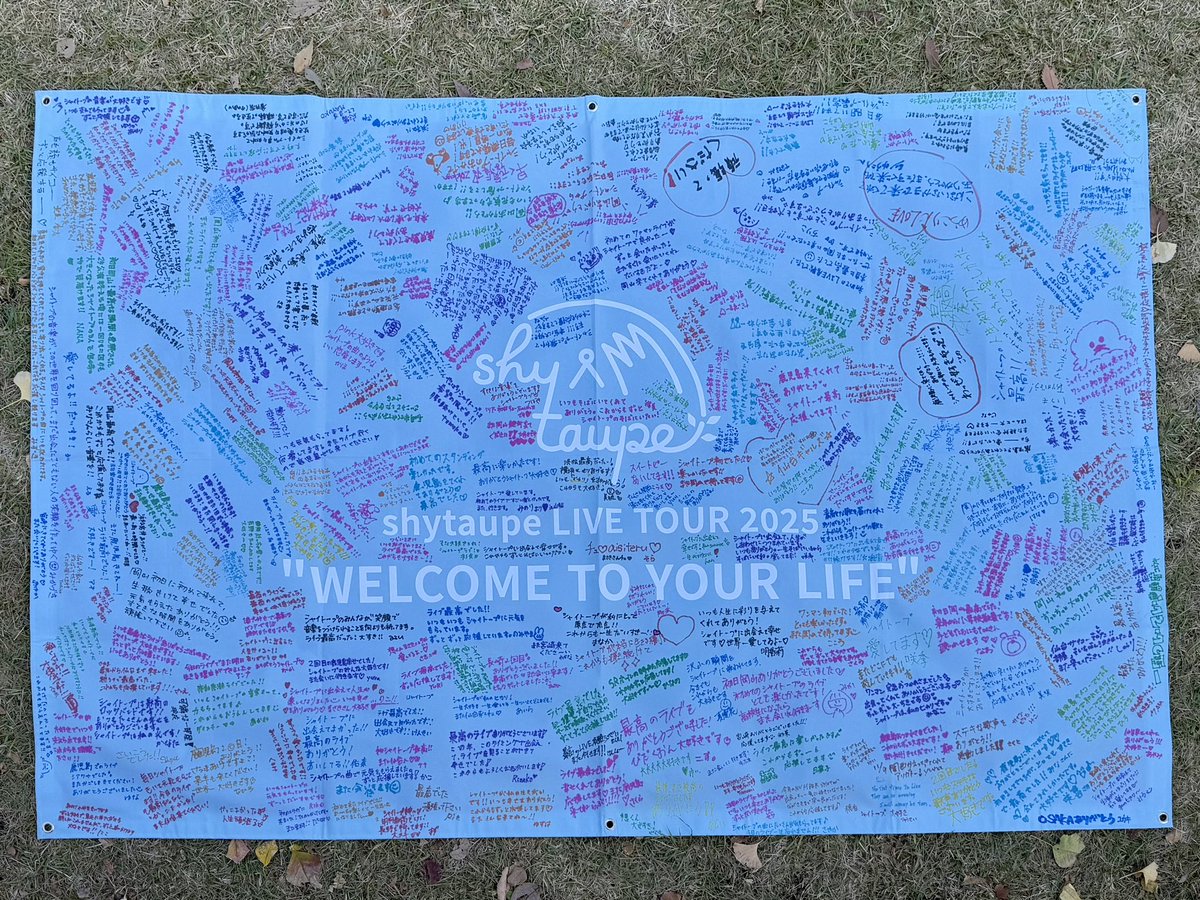 m a n a m i 🌼 愛美 tweet media