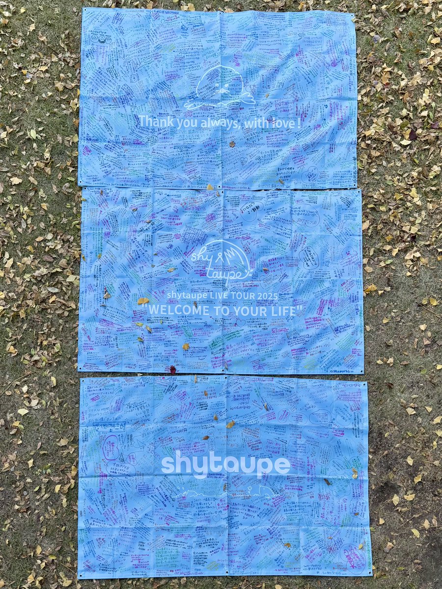 m a n a m i 🌼 愛美 tweet media