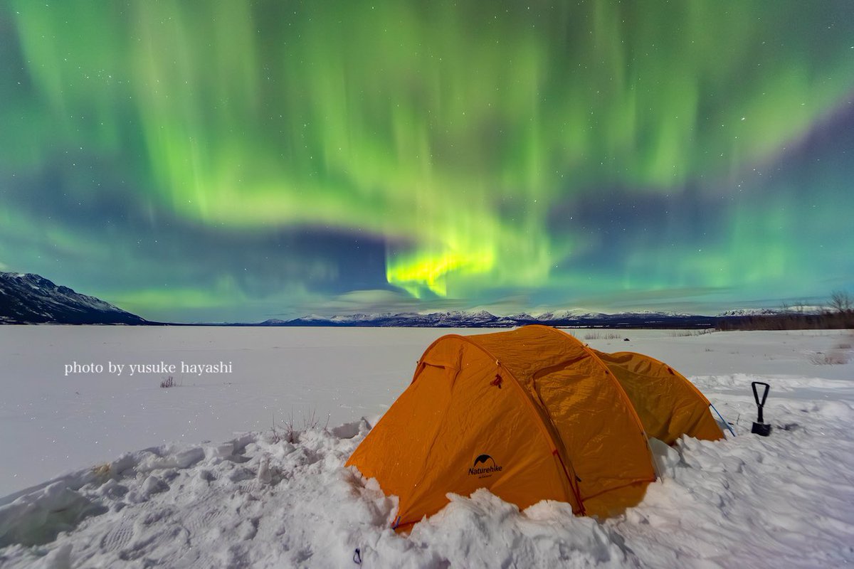 林祐介 自然写真家 / Youtube33000人 (@ratok_7) / Posts / X