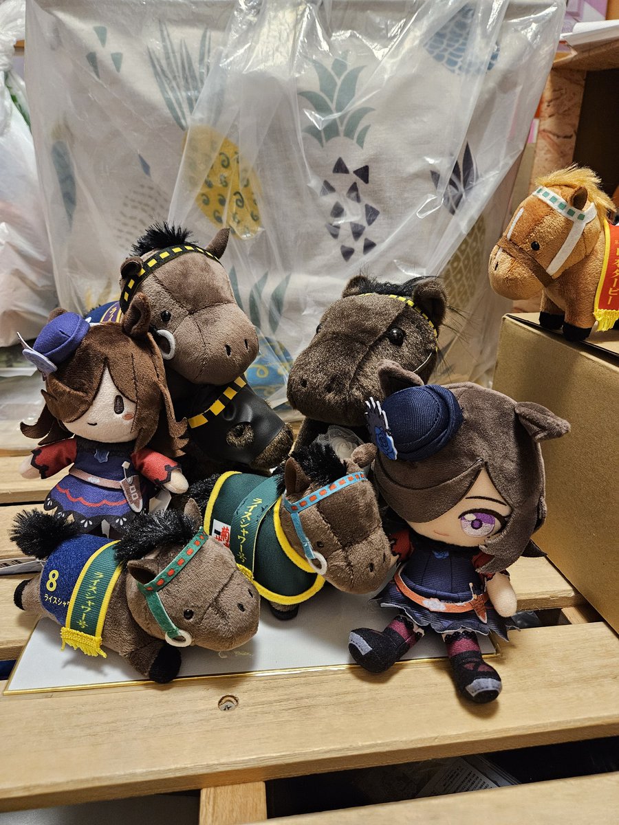 ライスシャワー AVANTI、アイドルホース、サラブレッドコレクション