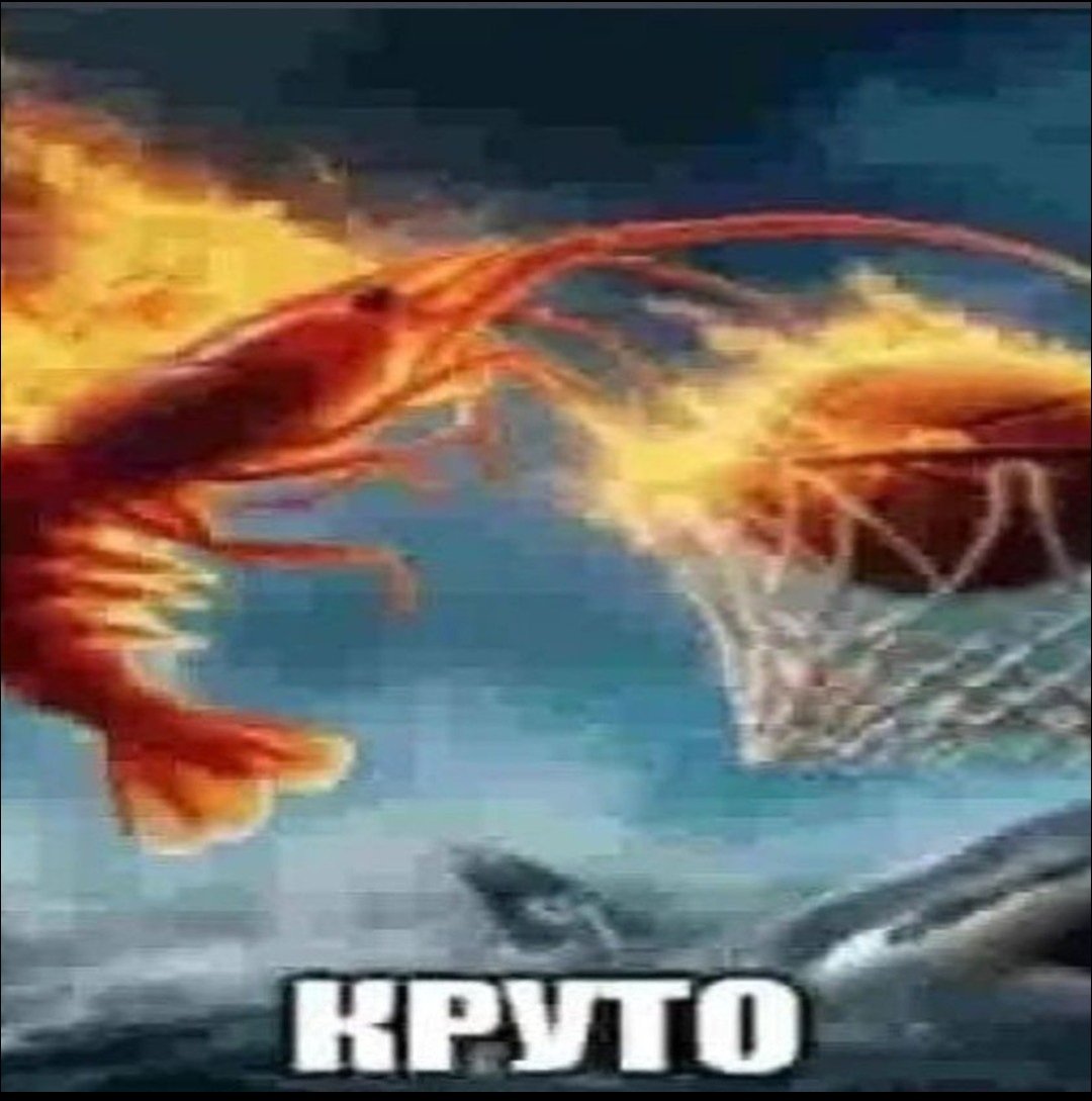 Fleviler tweet media