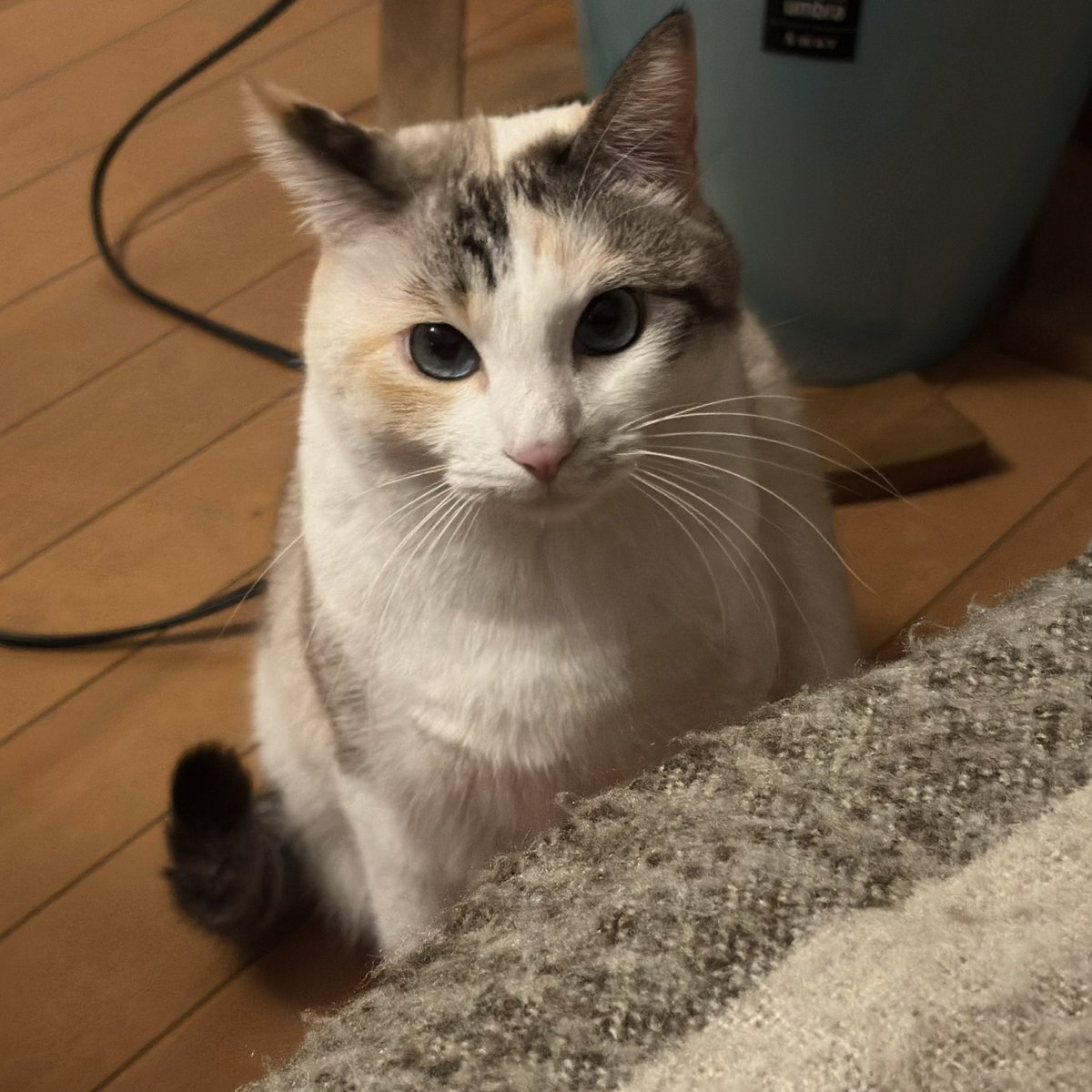 ニコ太郎 LookUp Movie Nintama Rantaro Rikichi Yamada Complete Figure (pre