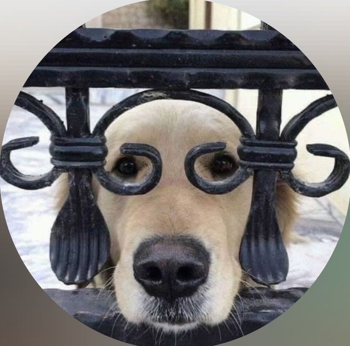 Namu qlxhwlzjqpsjqlsjoqjw şapşaloz musun 🤏🏻