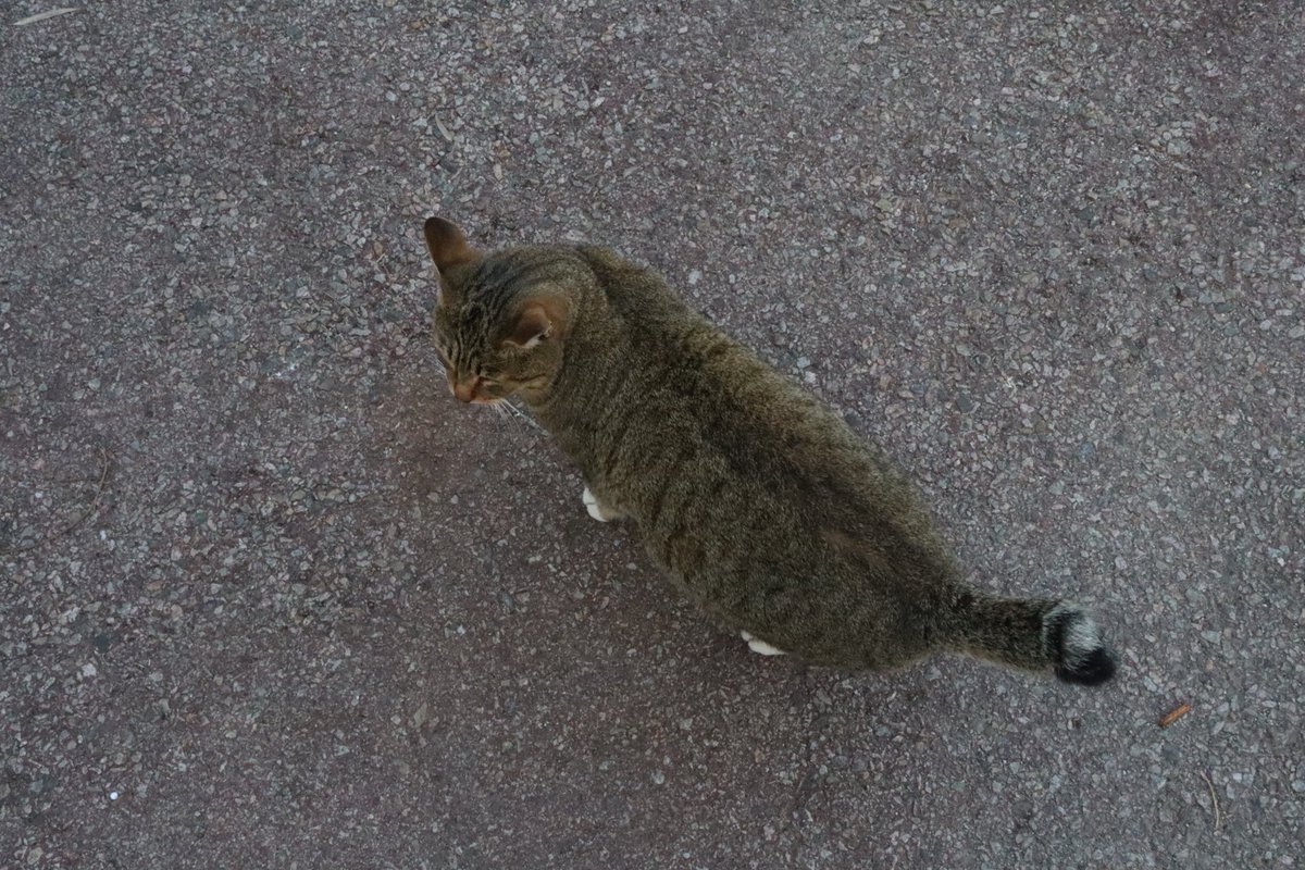 카메라와 친해지기