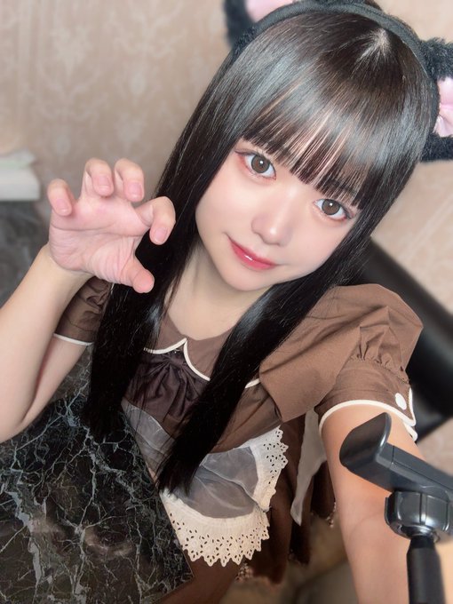 にゃんこメイドカフェ にゃんさんぶるのツイート