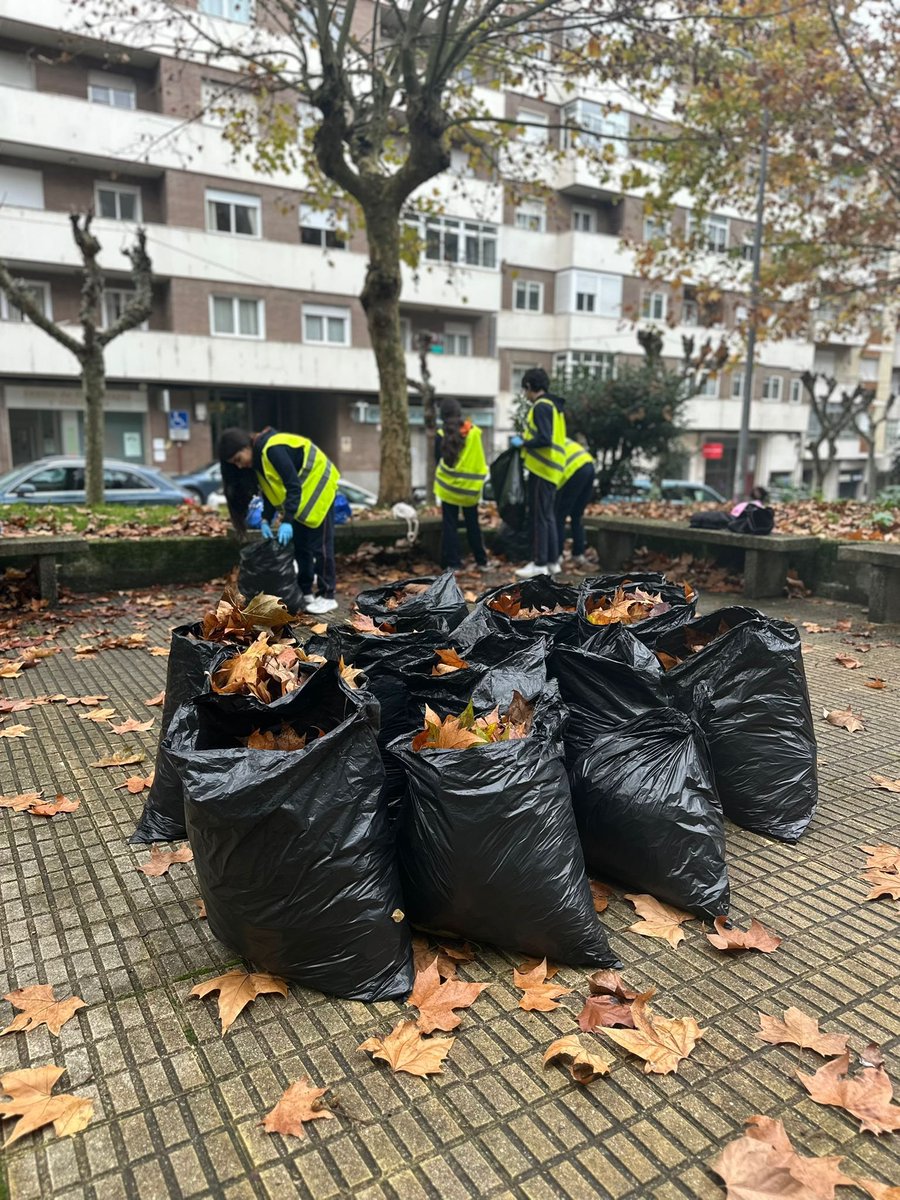 SogamaXunta's tweet photo. 🍂♻️ Os Ecovixiantes de Ourense retiraron follas das beirarrúas para evitar riscos e convertéronas en compost 🌱
⚽💚 Pecharon a xornada cun Torneo Solidario polo #DíaDosDereitosHumanos
Ambiente e solidariedade, sempre da man.
#Ecovixiantes #Sogama #EconomíaCircular #Compostaxe https://t.co/7Jajr3euyS