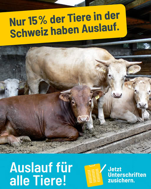 Petition
Hilf mit, damit in Zukunft alle Tiere ins Freie dürfen: auslauf-initiative.ch/mithelfen/