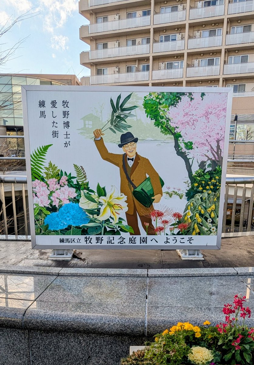 北隆館｜営業部 『牧野植物図鑑』100周年！！フェア開催中