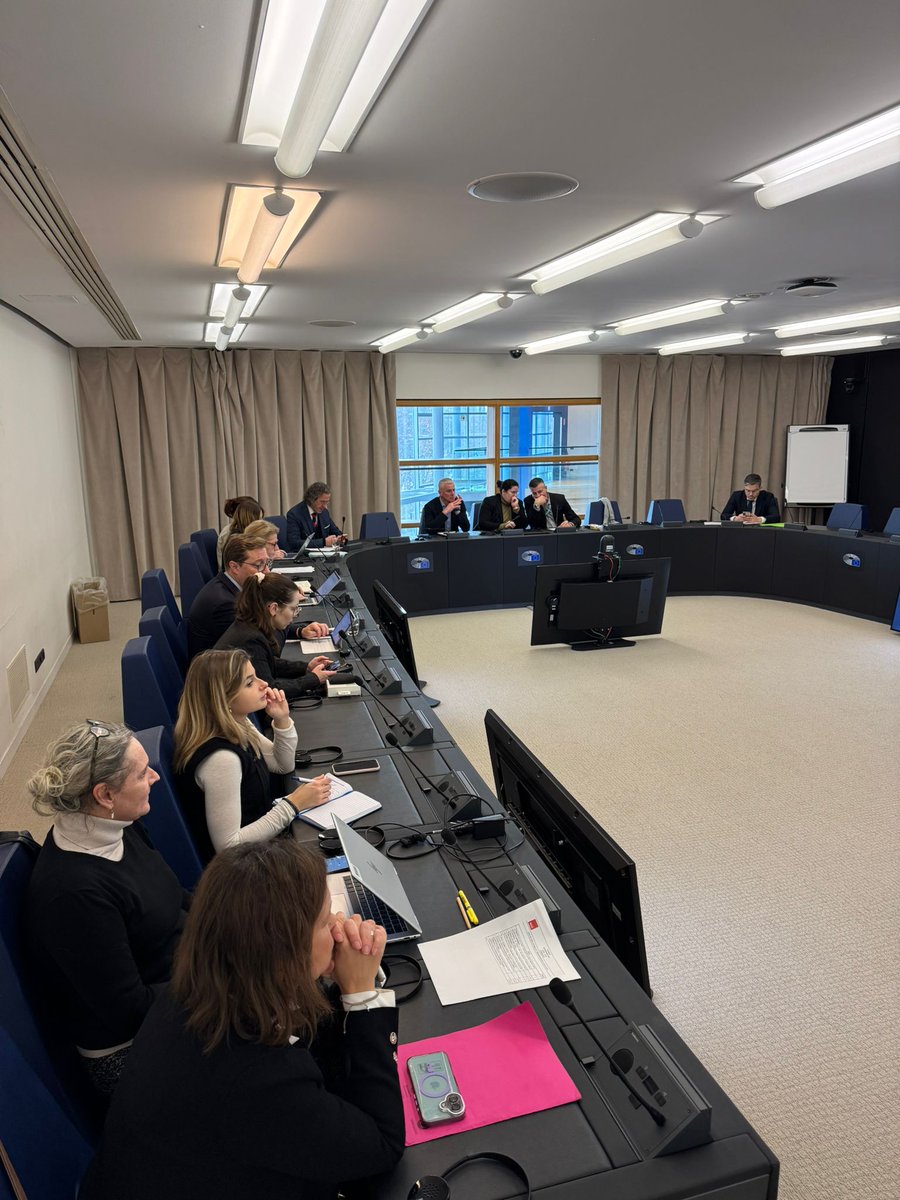 Intergroup on Resilience and Civil Protection tweet media