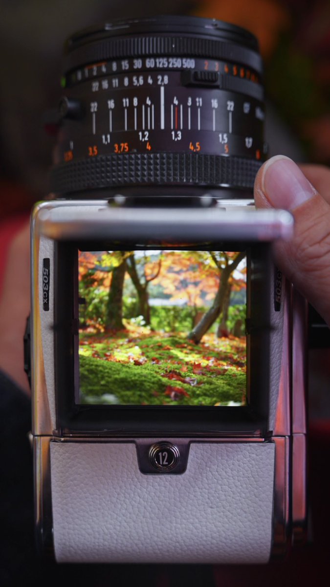 ウエストレベルファインダーを開くとき響く心地よい音は、まるで巡る