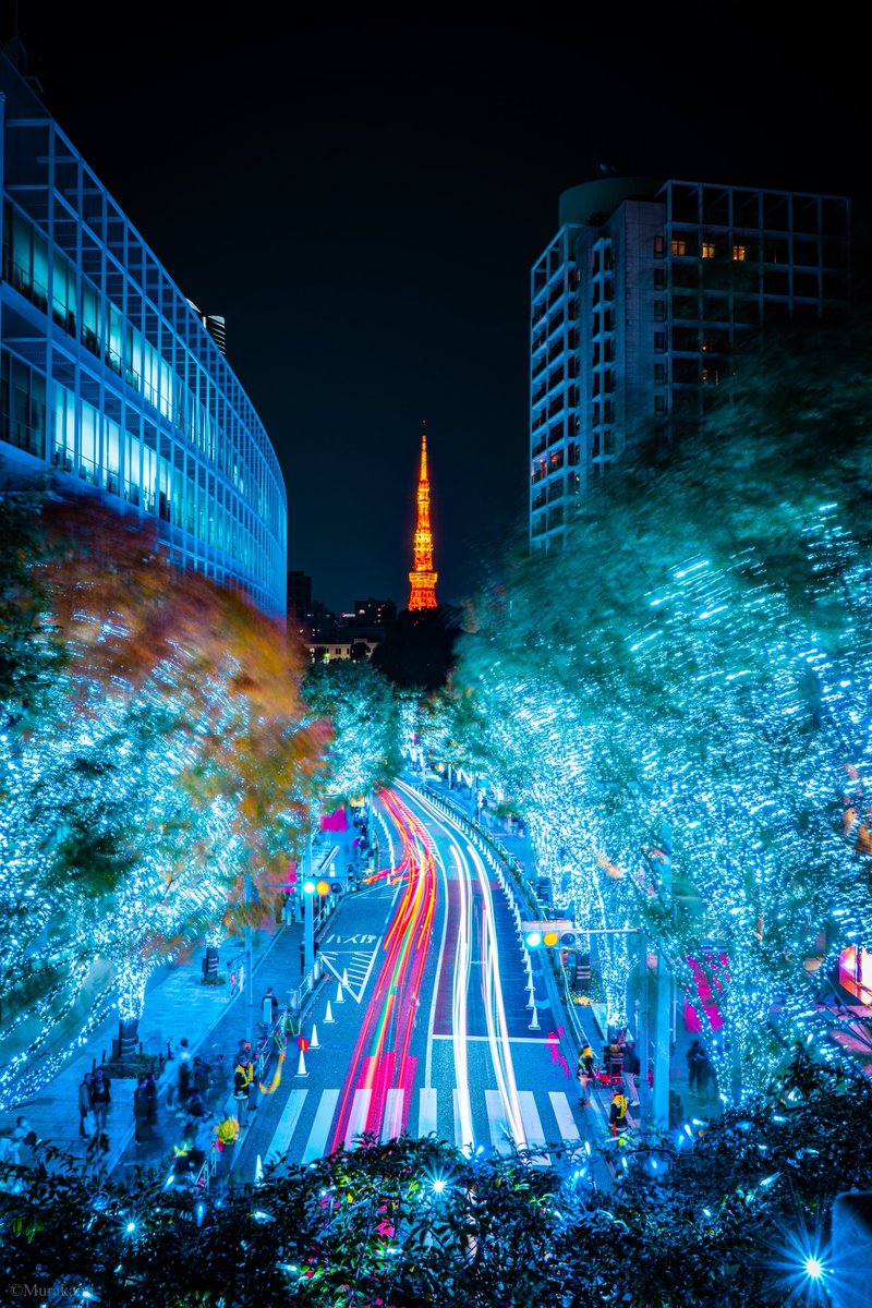 けやき坂に流れる時間を閉じ込めて