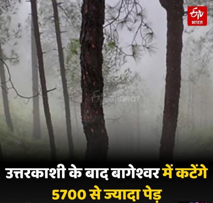 हमारा हिसाब कौन देगा साब❓

मन्दिर मस्जिद गिरजाघर टूटने पर
तुम्हारा दर्द कितना गहरा होता है
कि सदियों तक लेते रहते हो उसका हिसाब
पर जंगल जिनका पवित्र स्थल है
उनको उजाड़ने का हिसाब, कौन देगा साब?

वे जंगल को पूजते हैं, जंगल को जानते हैं
वहीं जीते हैं वहीं मर जाते हैं
तुम सब बूट