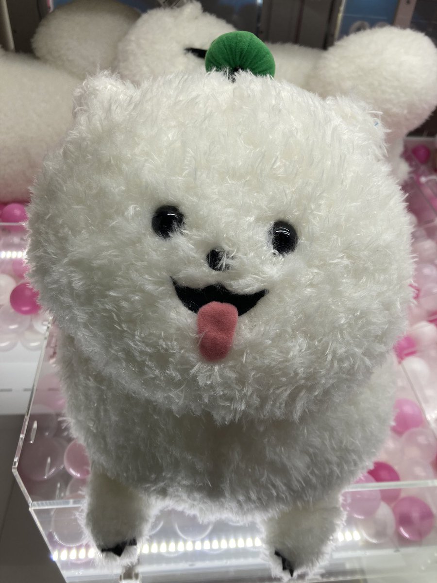 ⭐︎景品情報⭐︎ 【18TRIP しゅうまい寝そべりBIGぬいぐるみ】 登場中