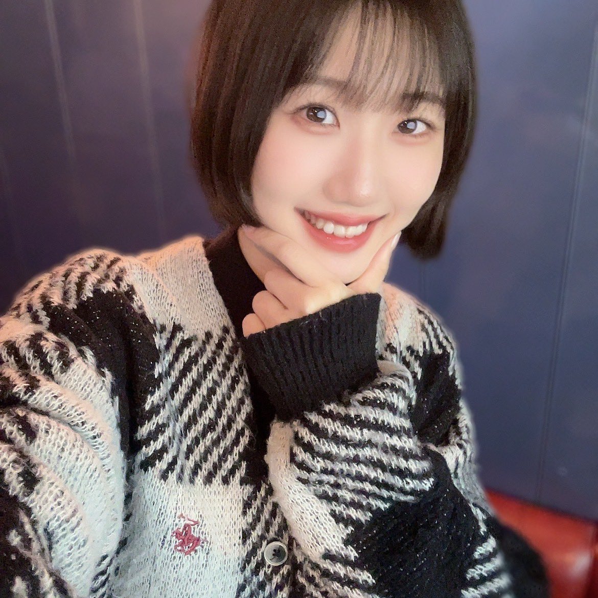 きじとら🐈🐈 たくさんご案内できます！ Calicoではあむ初めての