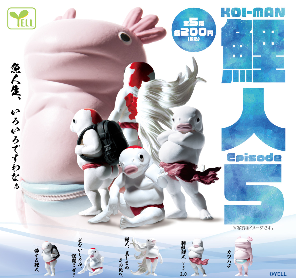 情報解禁⚡ 【鯉人 Episode5】 2026年 4月 発売予定‼ 止まらない強さ