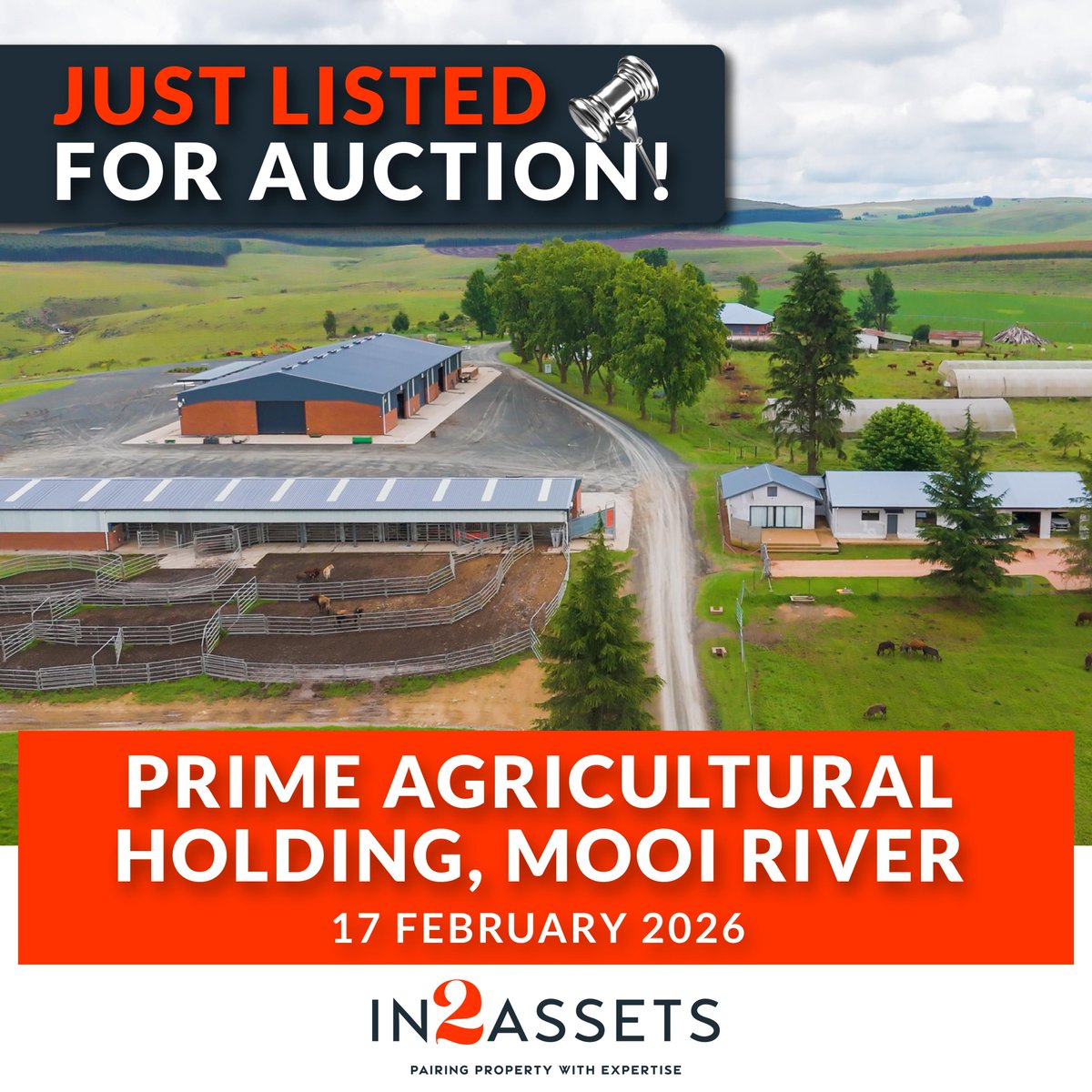 In2assets's tweet image. Prime Agricultural Holding ± 17km from Mooi River on Hlatikulu Road, Mooi River On Auction 17 February 2026. Contact Tom Hodgson on 083 636 7800 tinyurl.com/3aayj82k
