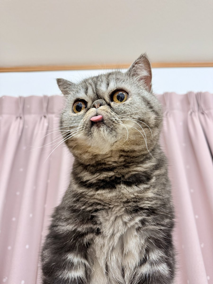 PUNI_2 (@PUNI_2) / Posts / X