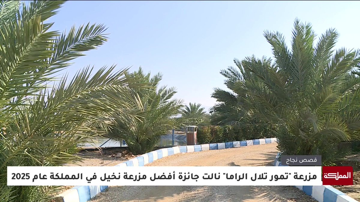 مزرعة "تمور تلال الراما".. قصة نجاح تروي ارتباط الإنسان بالأرض مهما بلغ من مكانة اجتماعية وأكاديمية #الأردن 