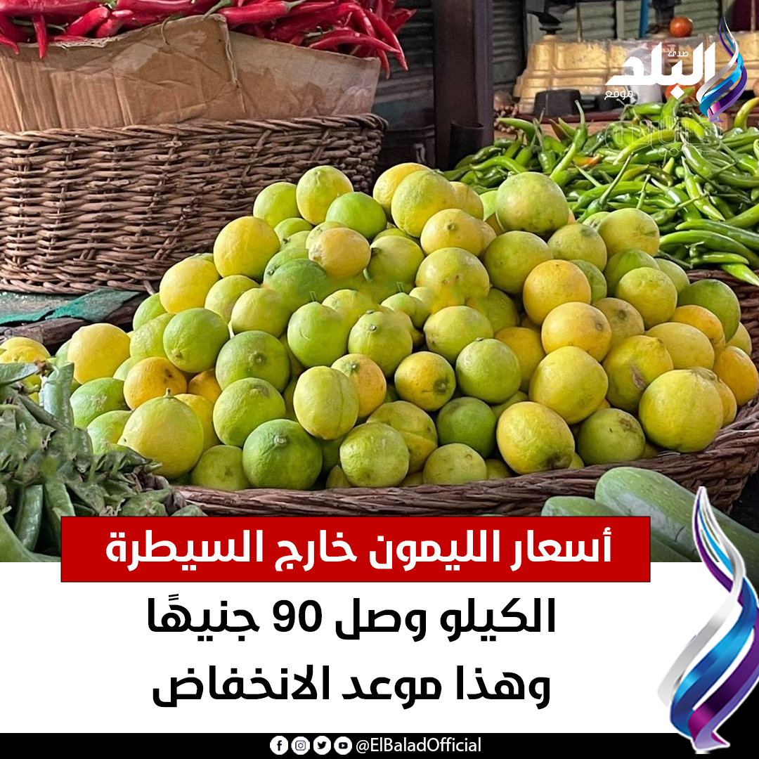 عاجل.. أسعار الليمون خارج السيطرة| الكيلو وصل 90 جنيهًا.. وهذا موعد الانخفاض. التفاصيل 