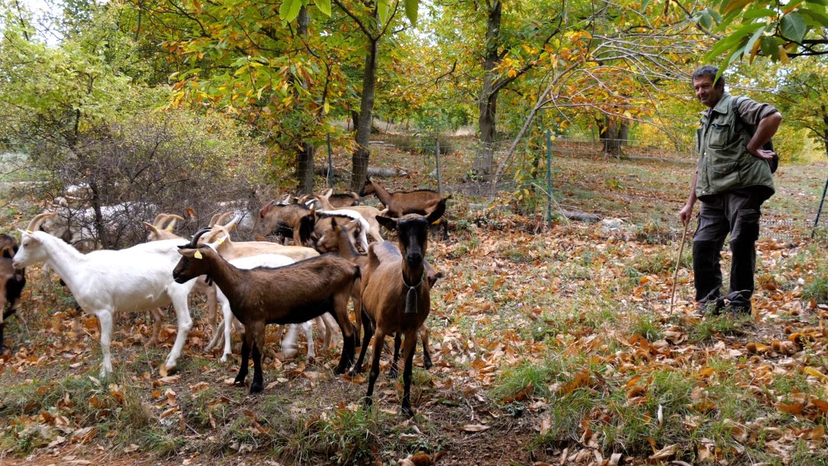 ECOMNEWS tweet media