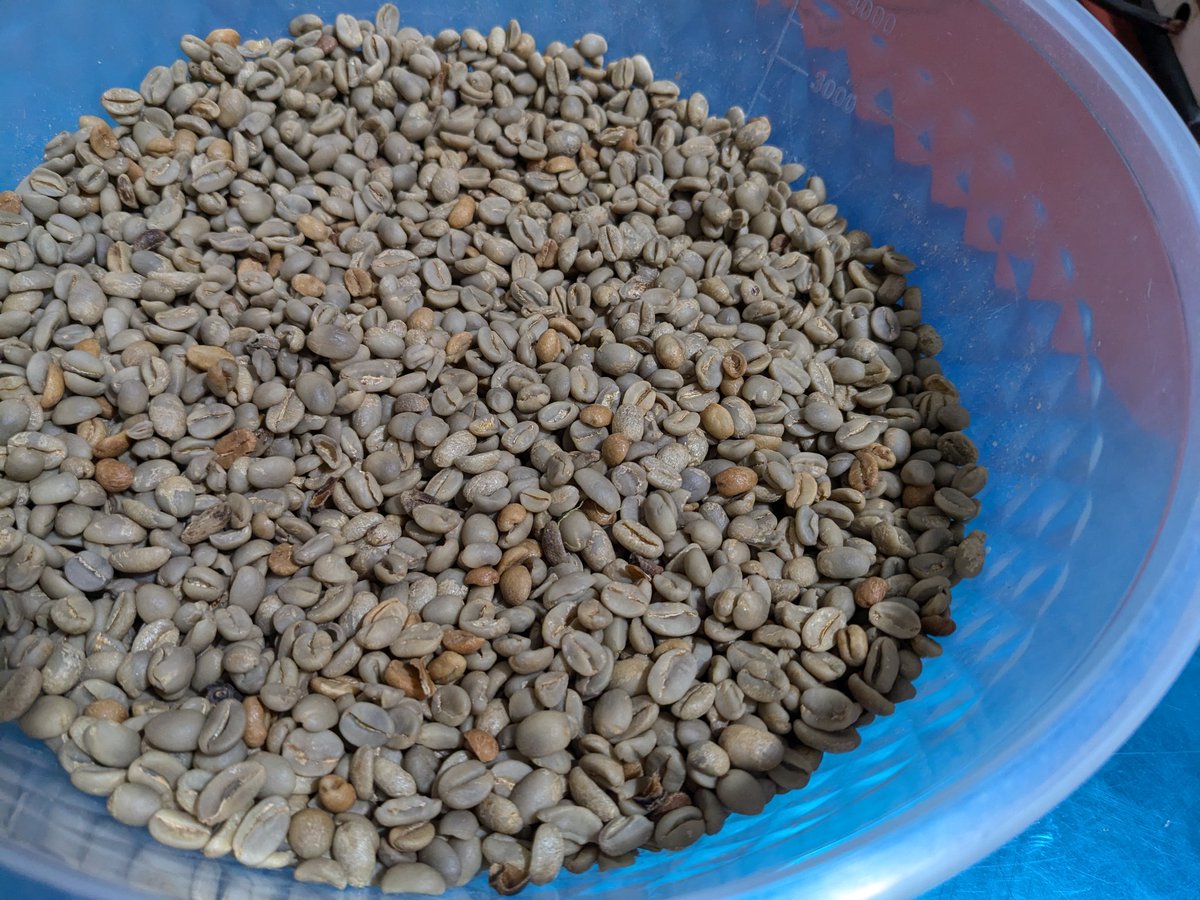 JentusJ's tweet photo. The wait is over — and we’re ready.
After our first harvest, Jentus Coffee Farm is fully prepared for the upcoming harvesting season. The future looks bright, and the journey continues with confidence and quality.

Coffee Quality Is Our Ambition!🌱

#JentusCoffeeFarm https://t.co/VjTsG4Hgc7