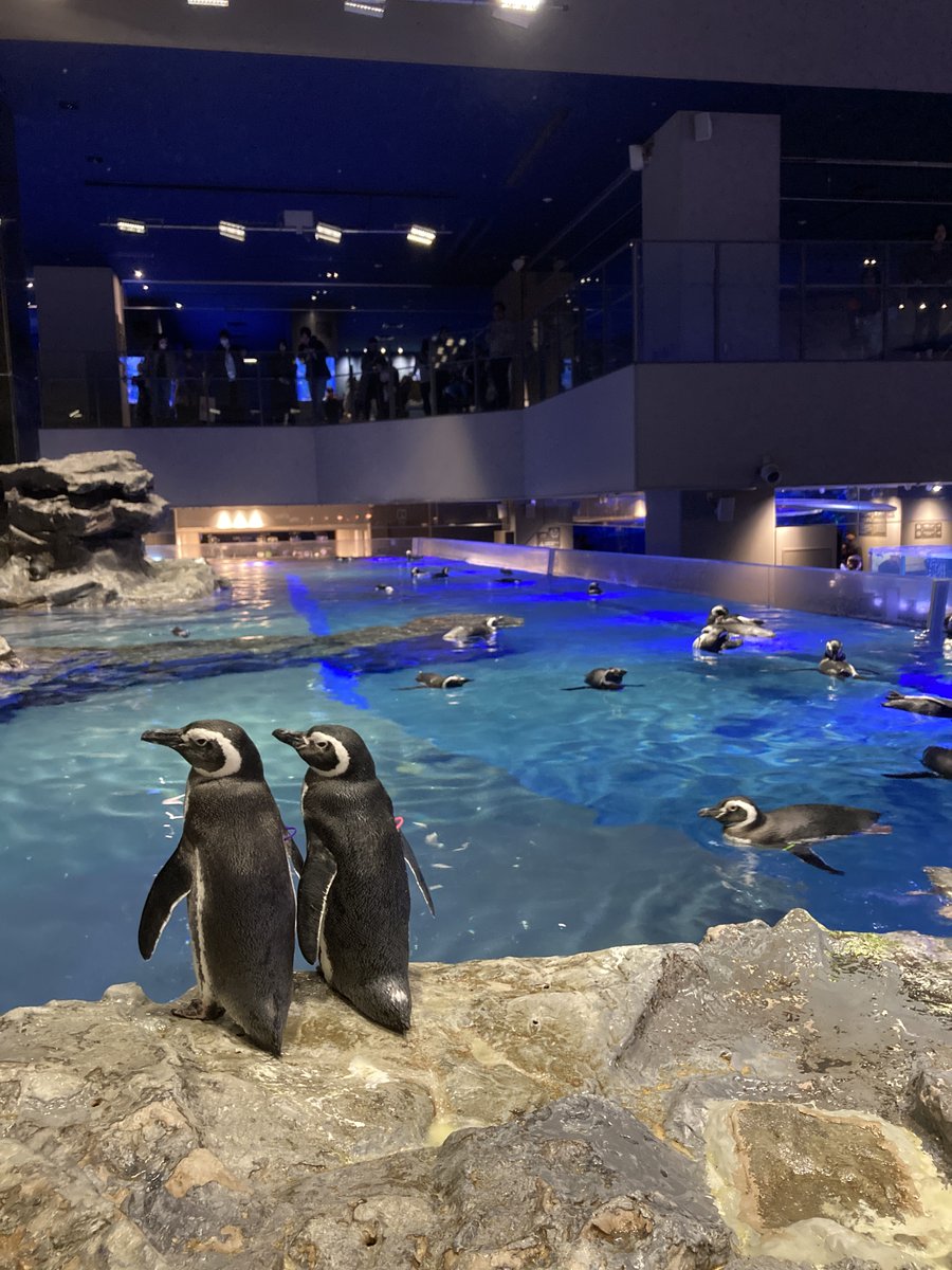 るるなっく (@ruru79) / Posts / X