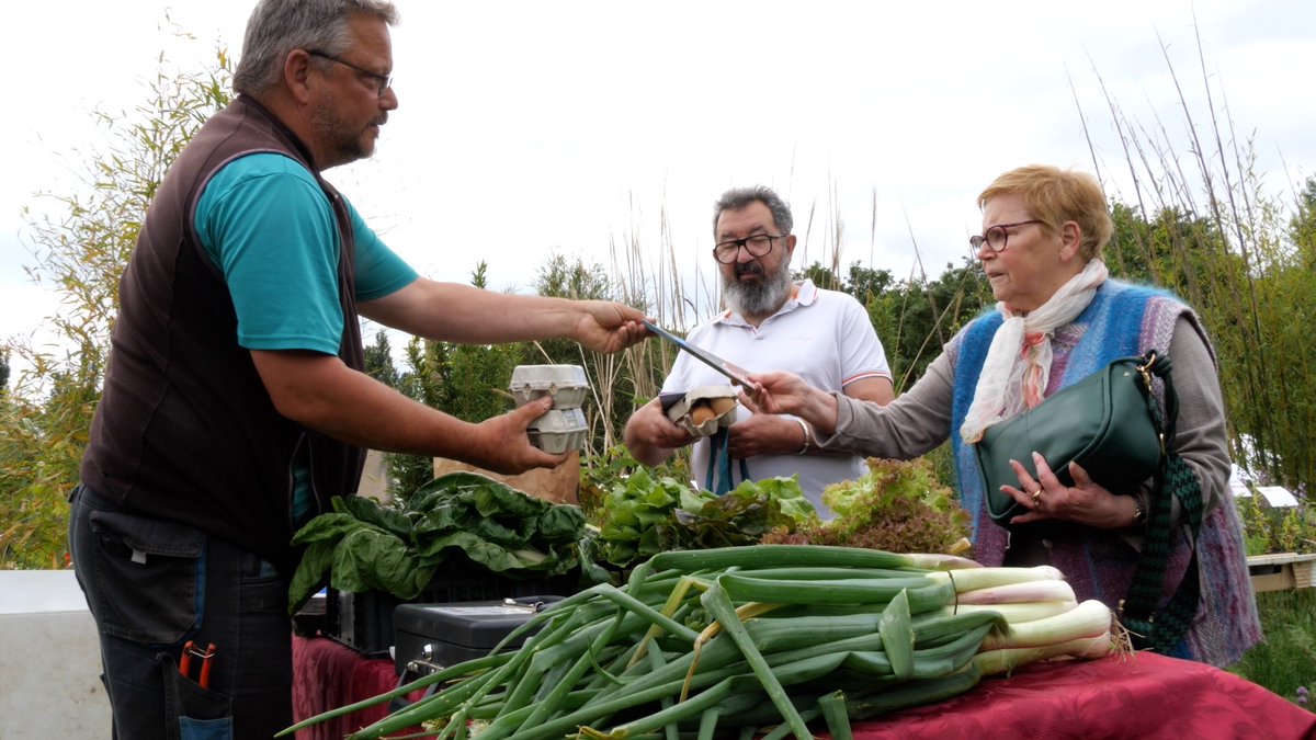 ECOMNEWS tweet media