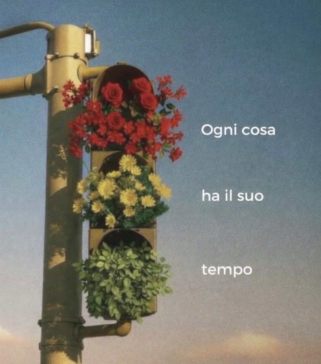 diteccopa's tweet image. 